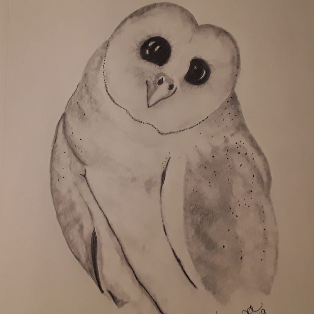 Meet your Posher, Teresa